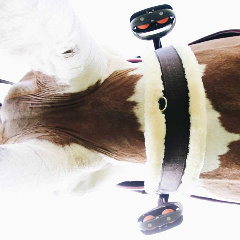 Sheepskin Girth Black