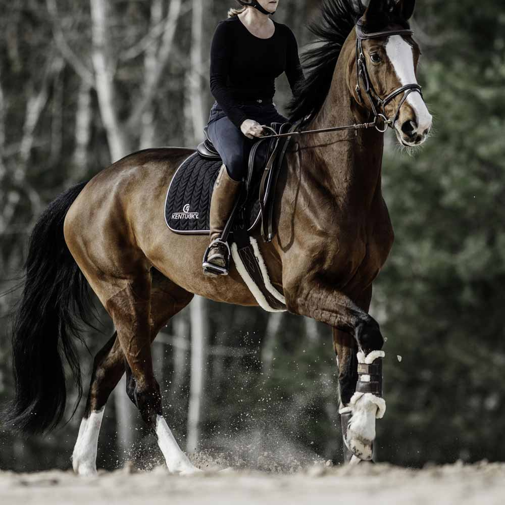 Anatomical Sheepskin Girth Black