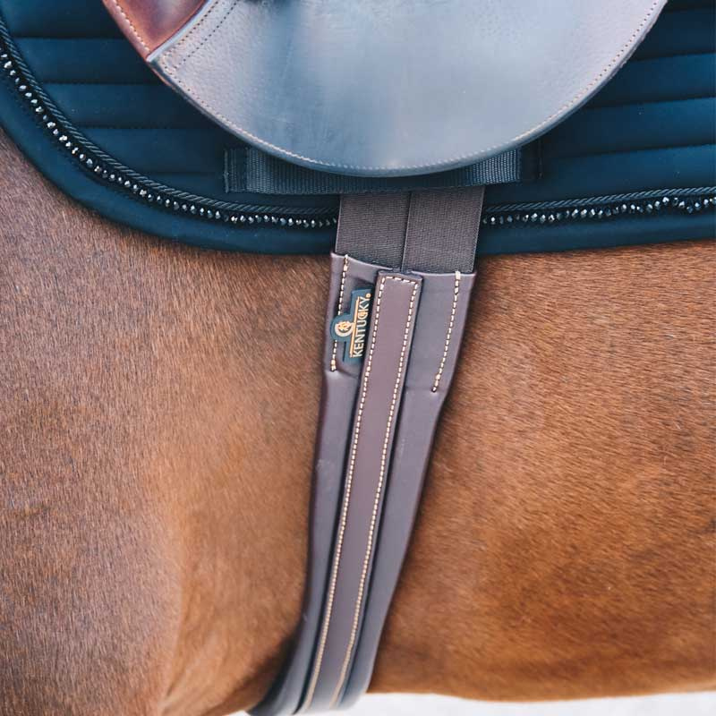 Young Horse Girth Brown