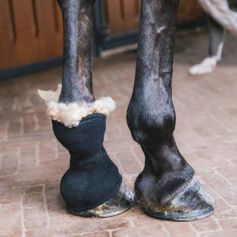 Wool Therapeutic 150g Nature