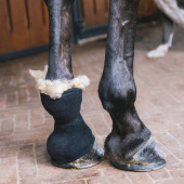 Wool Therapeutic 150g Nature Wool Therapeutic 150g Nature