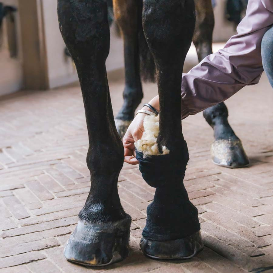 Wool Therapeutic 150g Nature