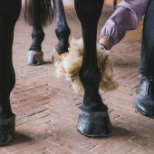 Wool Therapeutic 150g Nature