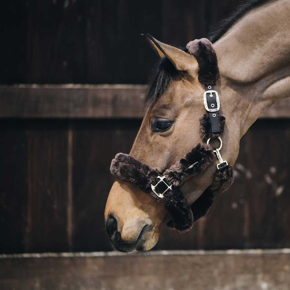Transport Halter Sheepskin Brown