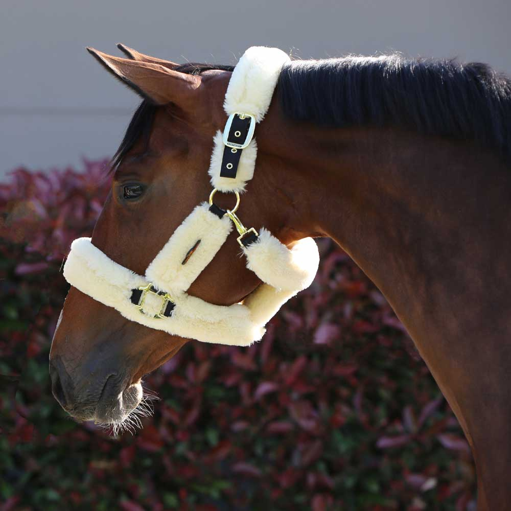 Transport Halter Sheepskin Natural