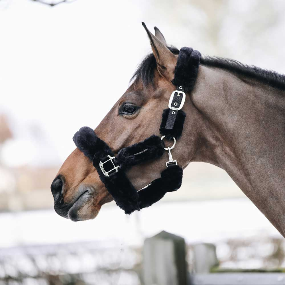 Transport Halter Sheepskin Black