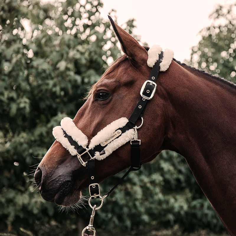 Nylon Halter Sheepskin Natural