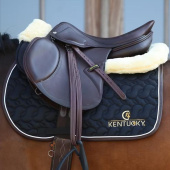 Saddle Pad Absorb Logo Black Saddle Pad Absorb Logo Black