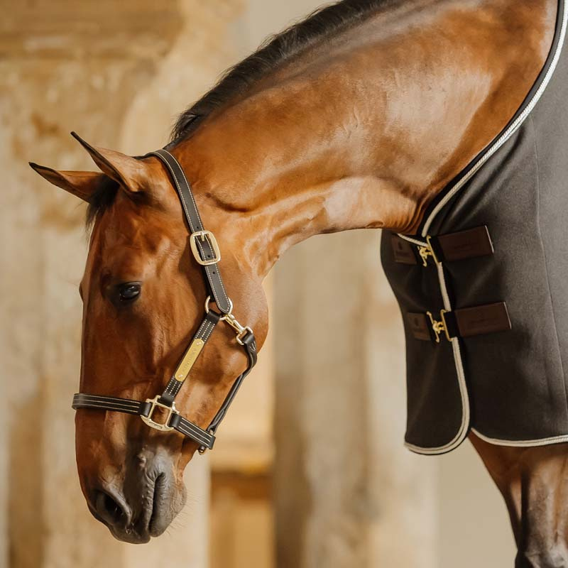 Leather Halter Artificial Wellington Black