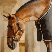 Leather Halter Artificial Wellington Black Leather Halter Artificial Wellington Black