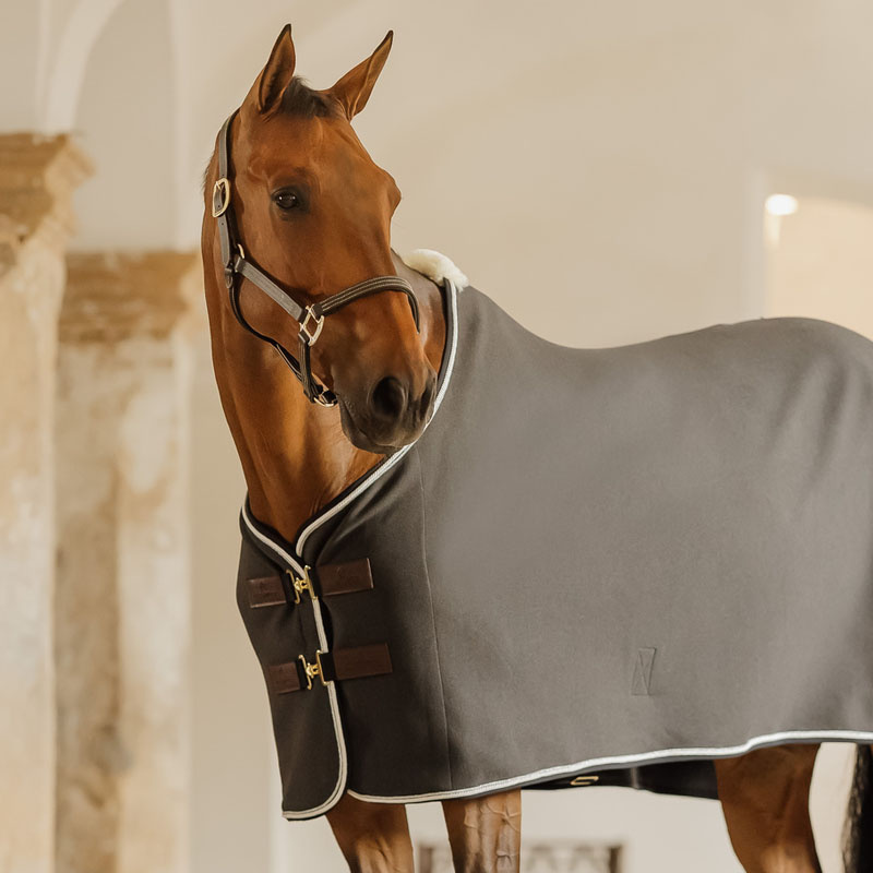 Leather Halter Artificial Wellington Black