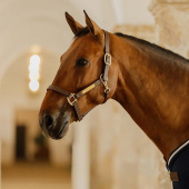 Leather Halter Artificial Wellington Brown Leather Halter Artificial Wellington Brown