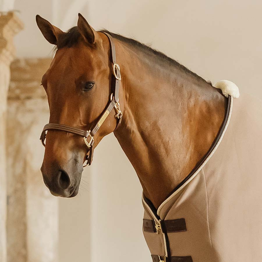 Leather Halter Artificial Wellington Brown