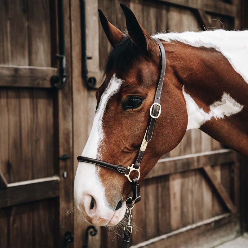 Grooming Halter Artificial Leather Brown