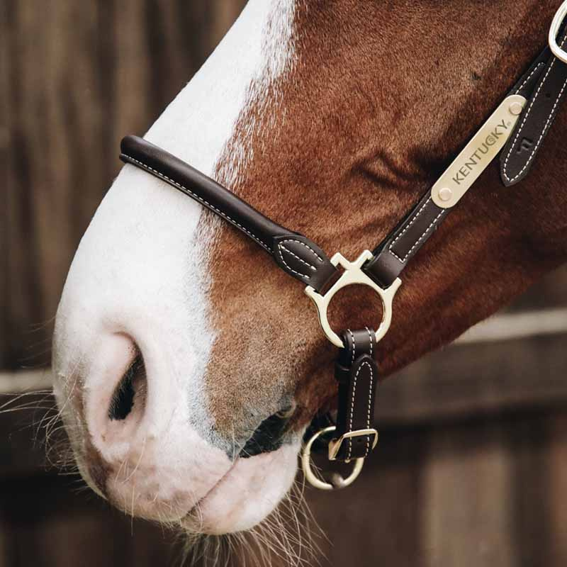 Grooming Halter Artificial Leather Brown