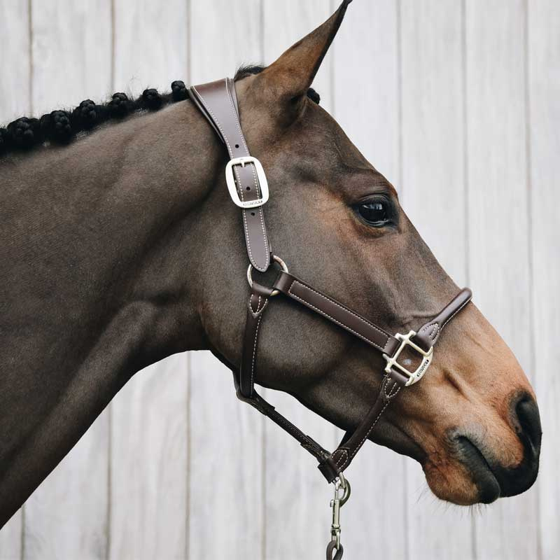 Anatomic Synthetic Leather Halter Brown