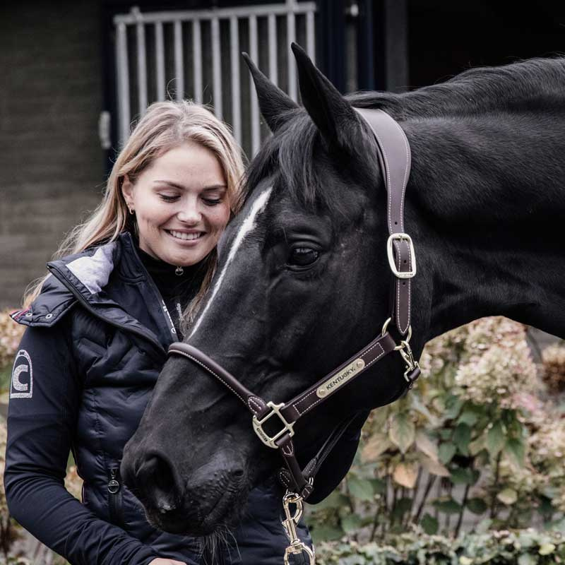 Anatomic Synthetic Leather Halter Brown
