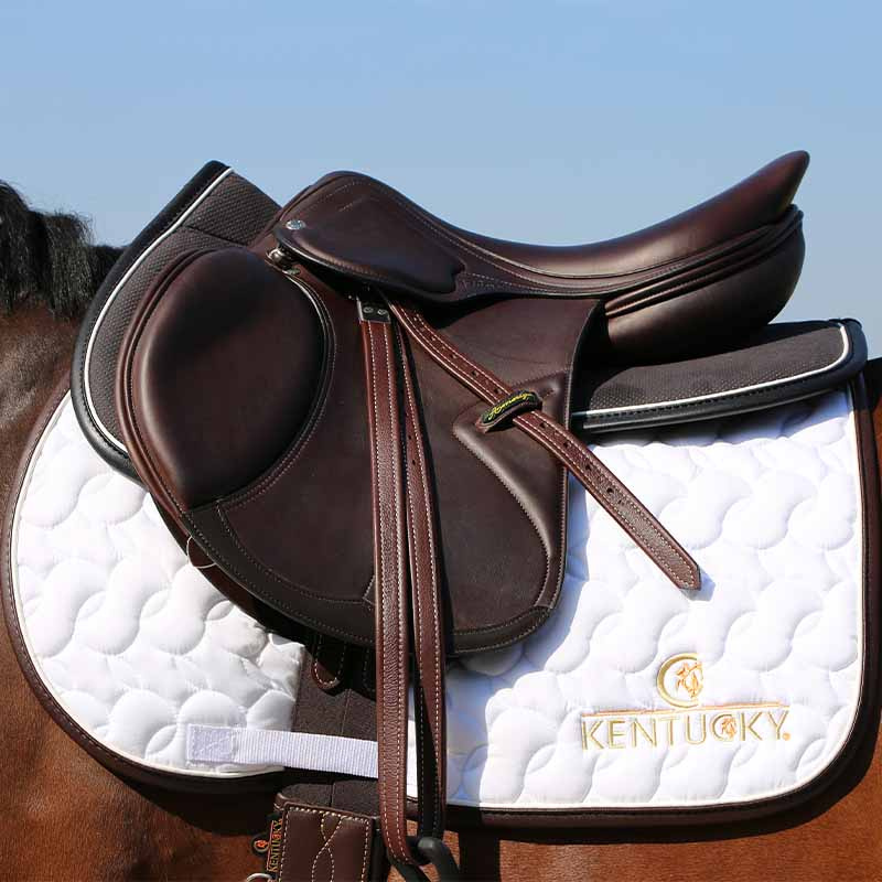 Anatomic Absorb Saddle Pad Black