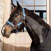 Halter Plaited Nylon Light Blue Halter Plaited Nylon Light Blue