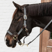 Braided Nylon Halter Grey Braided Nylon Halter Grey