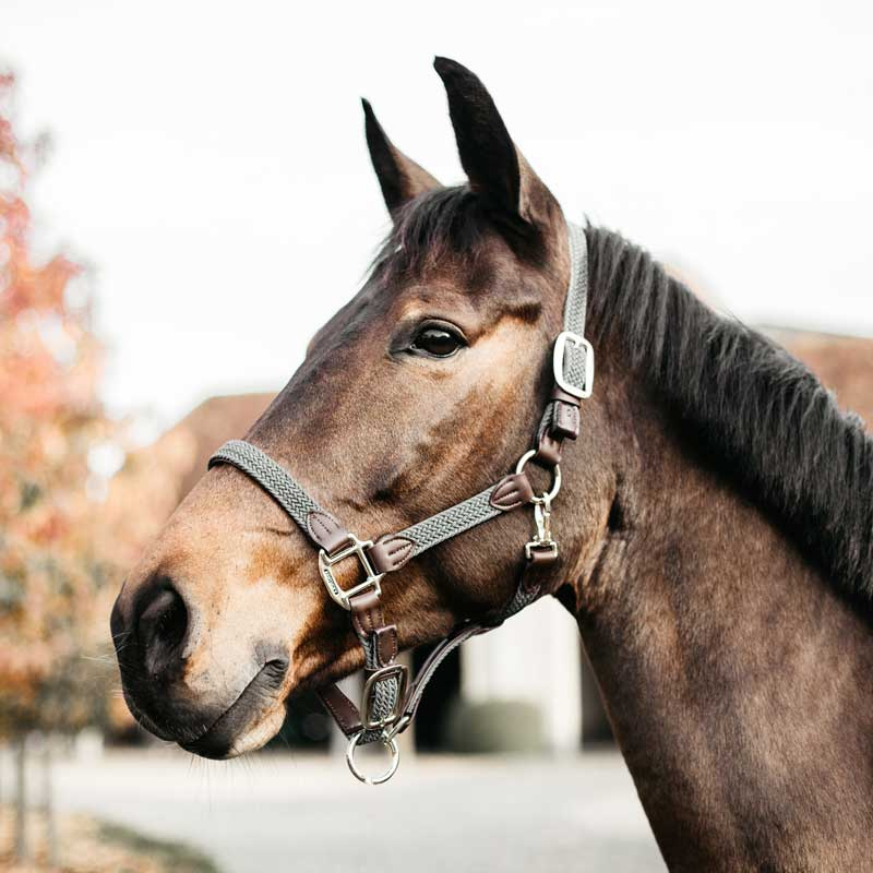 Braided Nylon Halter Grey