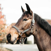 Braided Nylon Halter Grey Braided Nylon Halter Grey