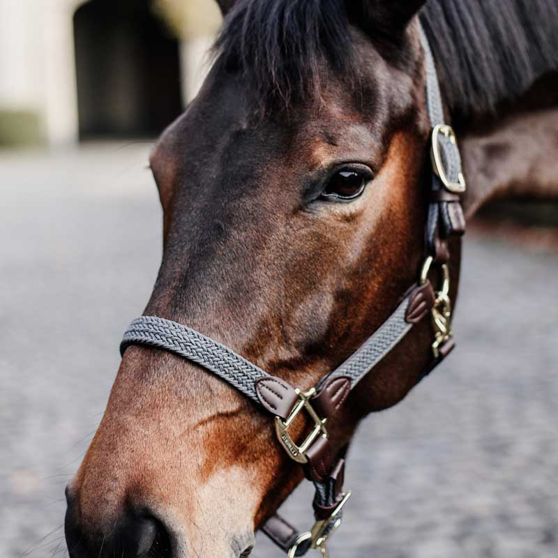 Braided Nylon Halter Grey