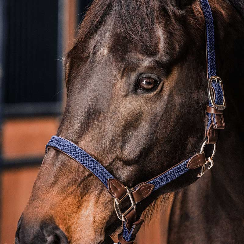 Braided Nylon Halter Navy