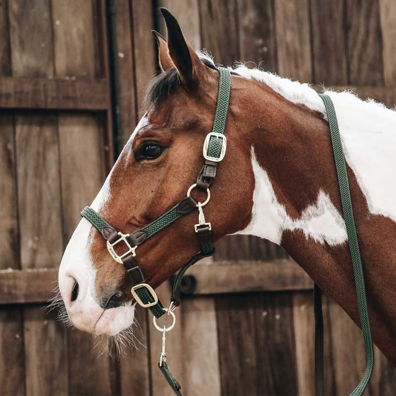 Braided Nylon Halter Olive Green