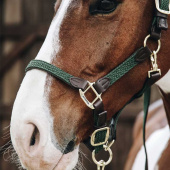 Braided Nylon Halter Olive Green Braided Nylon Halter Olive Green