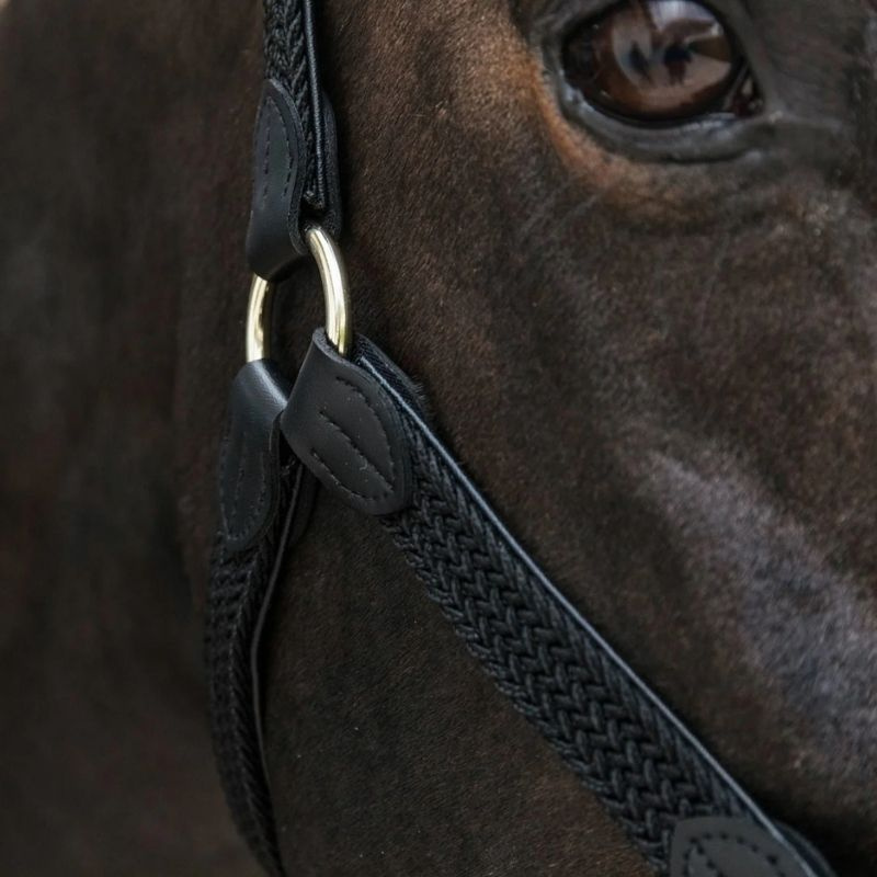 Braided Nylon Halter Black