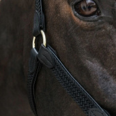 Braided Nylon Halter Black Braided Nylon Halter Black