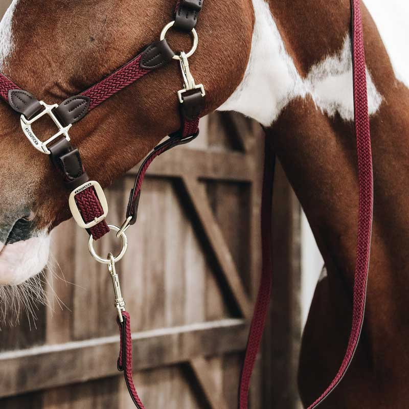 Braided Nylon Lead Bordeaux