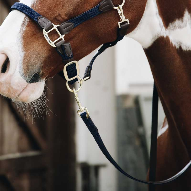 Braided Nylon Lead Navy