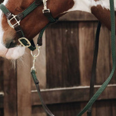 Braided Nylon Lead Olive Green Braided Nylon Lead Olive Green