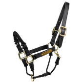 Halter Control Nylon Rope Black Halter Control Nylon Rope Black