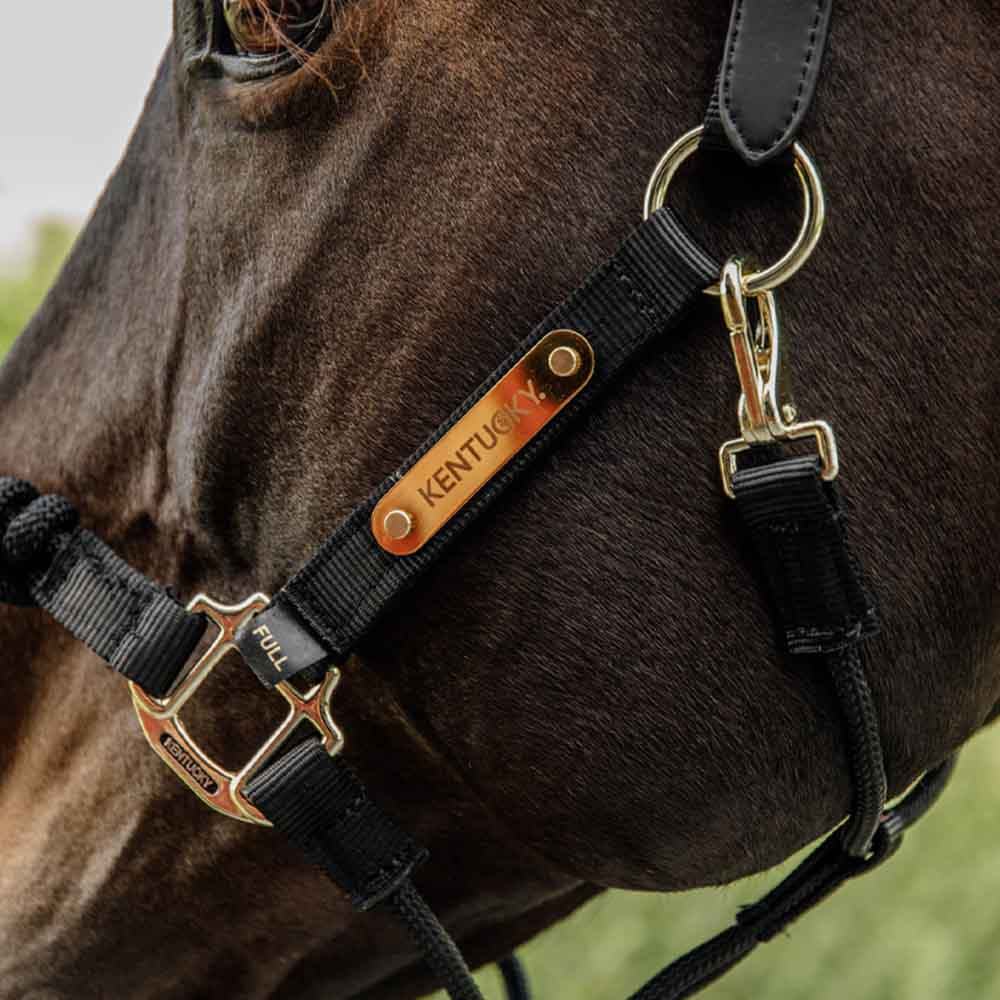 Halter Control Nylon Rope Black