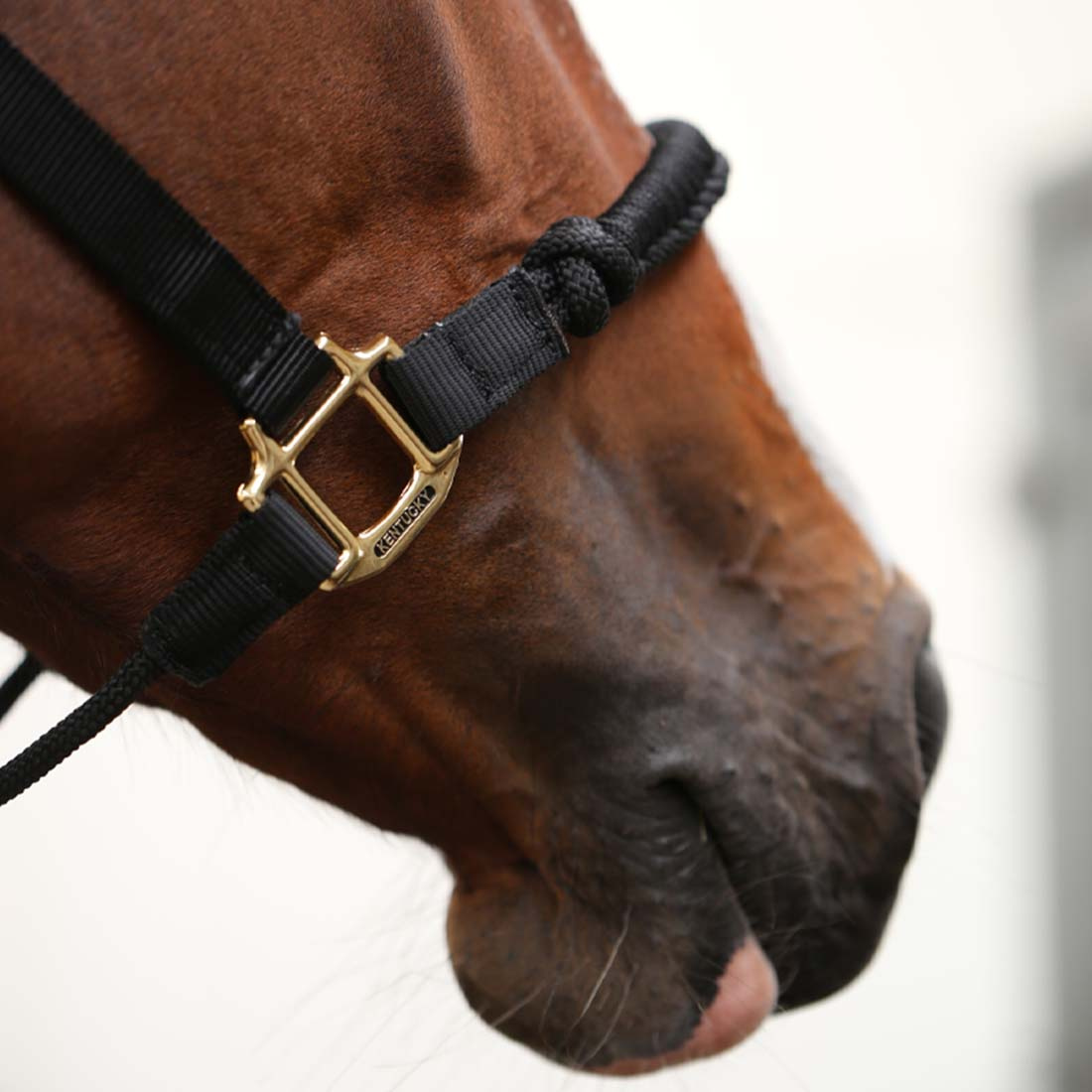 Halter Control Nylon Rope Black