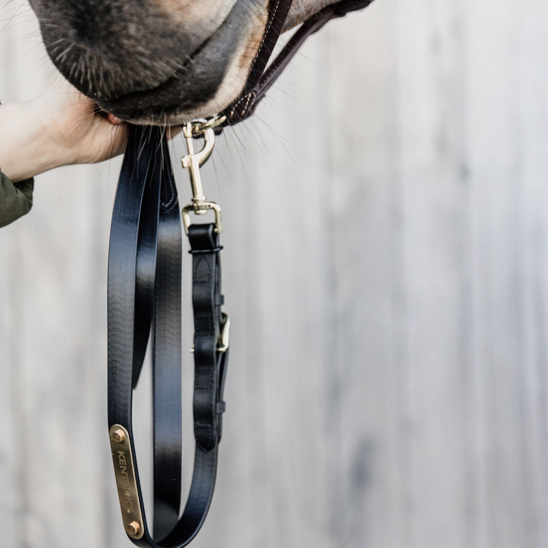 Leather Halter Presentation Artificial Black