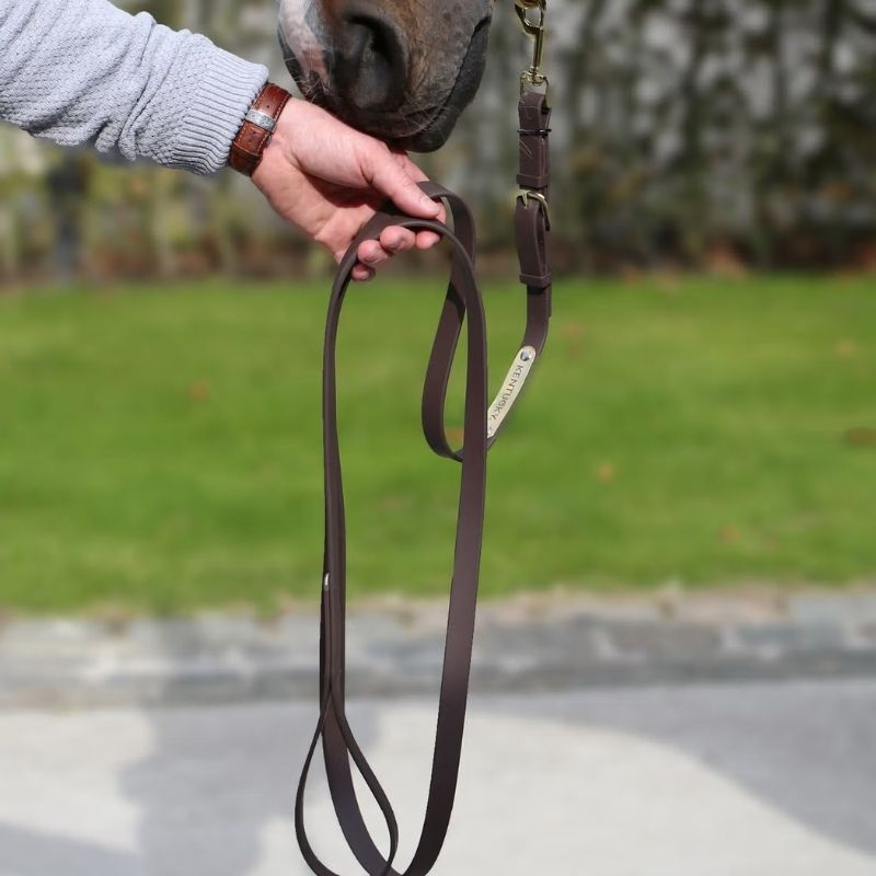 Presentation Lead Artificial Leather Brown