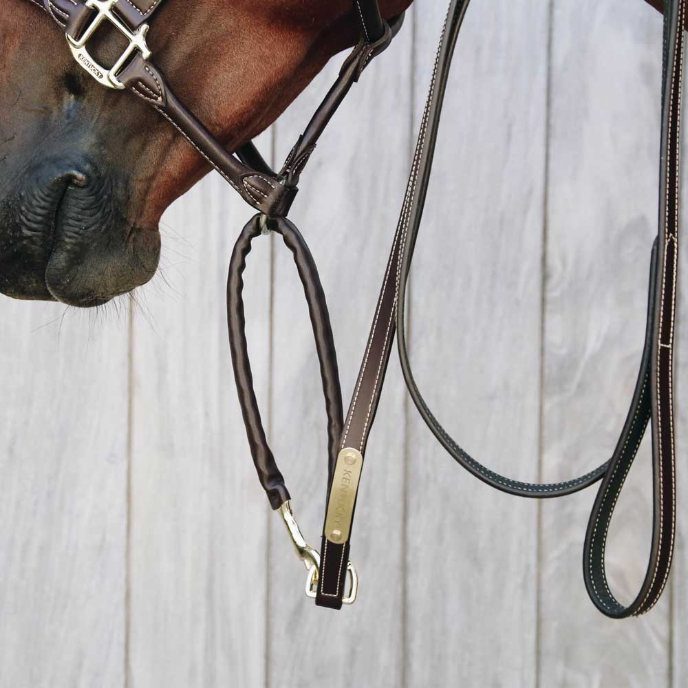 Leather Covered Chain Lead Brown