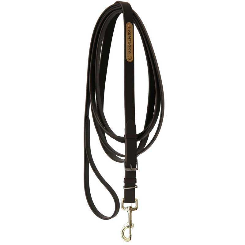 Stallion Lead 4m Brown