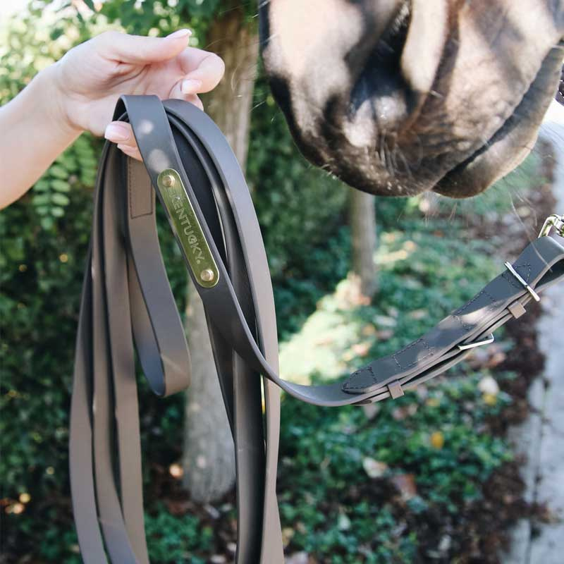 Stallion Lead 4m Brown