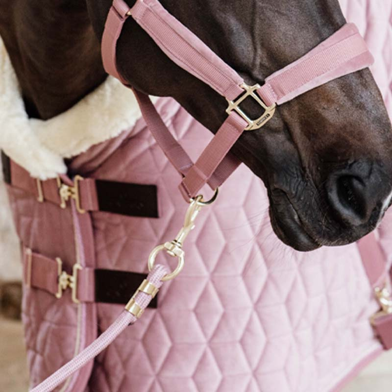 Halter Basic Old Pink