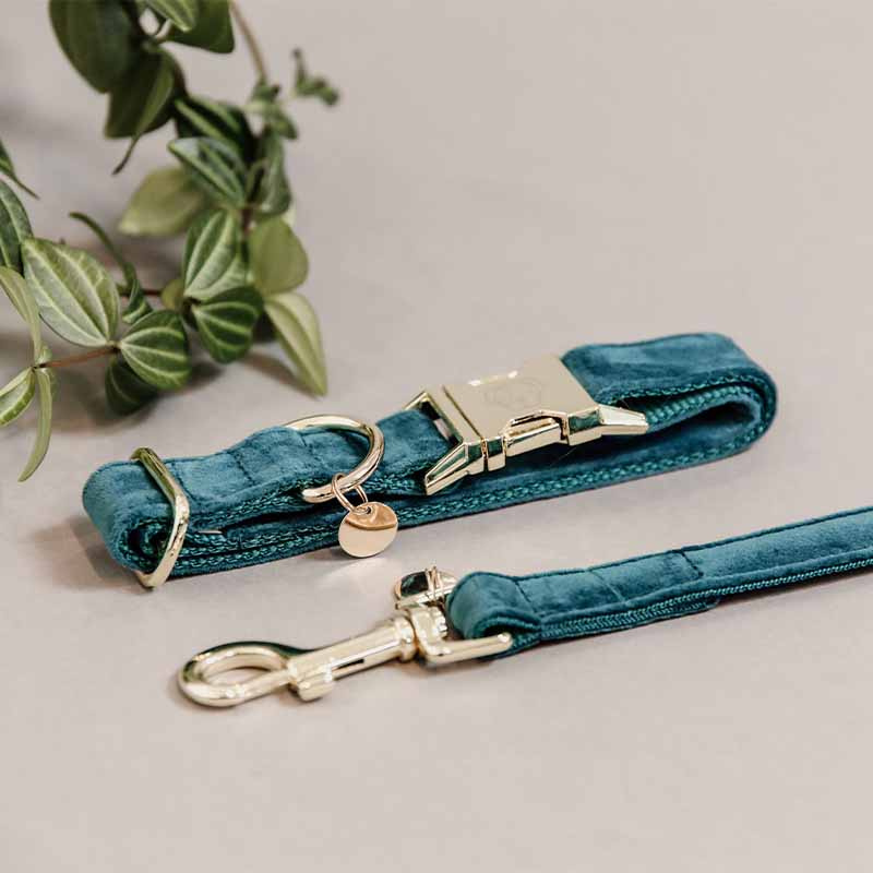 Dog Collar Velvet Emerald Green