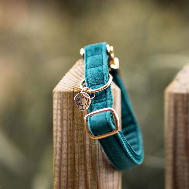Dog Collar Velvet Emerald Green