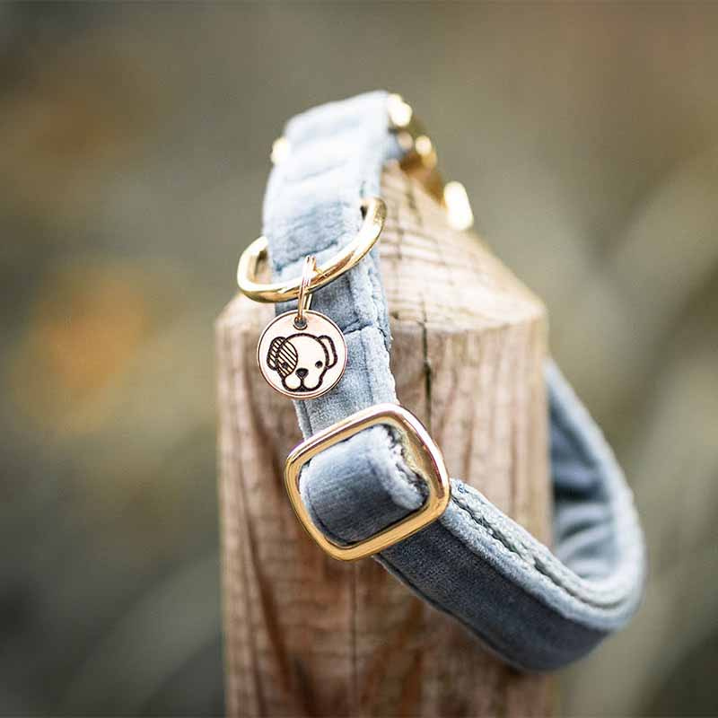 Dog Collar Velvet Light Blue