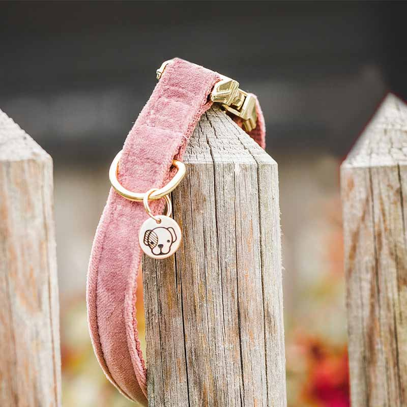 Dog Collar Velvet Old Rose