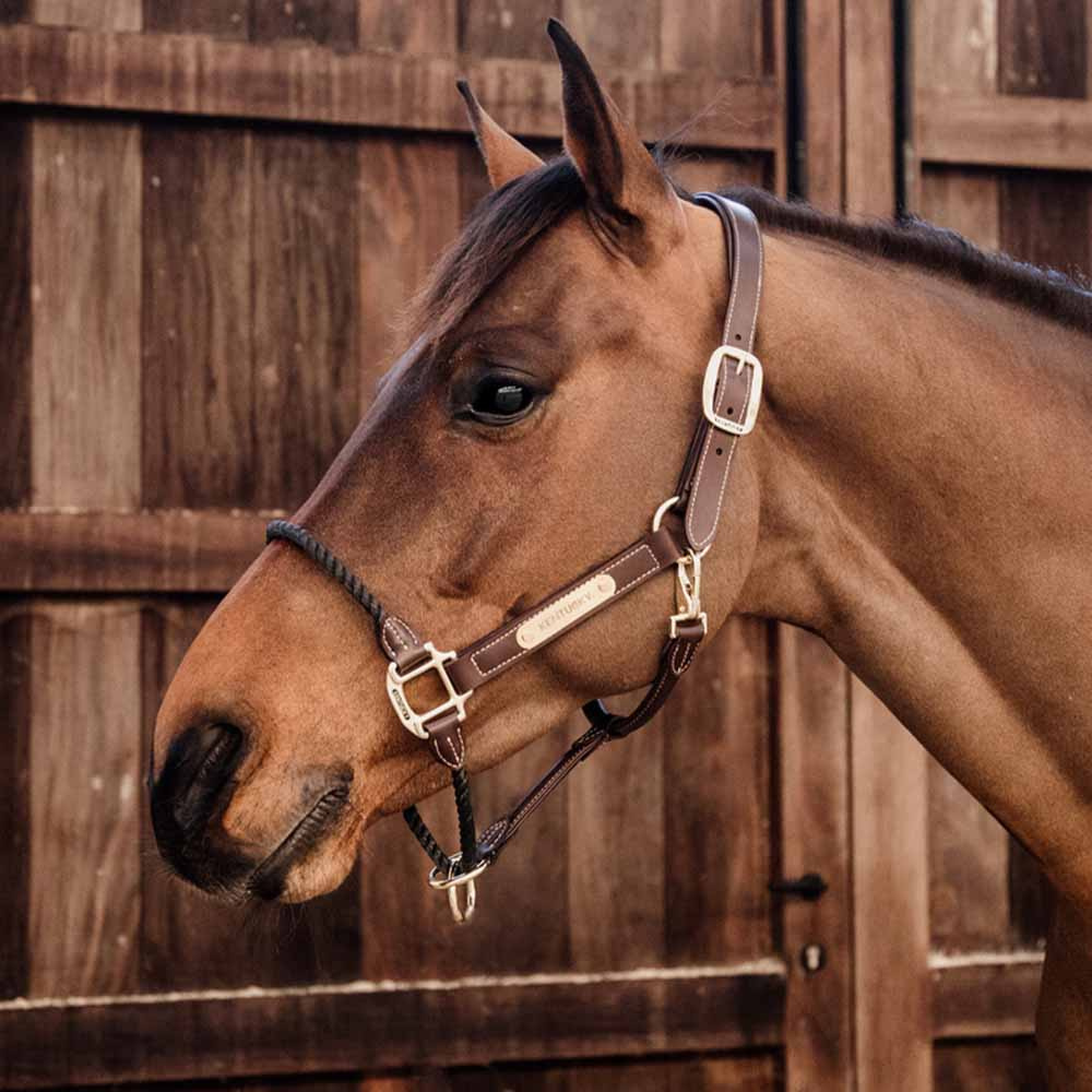 Leather Halter Rope Artificial Brown