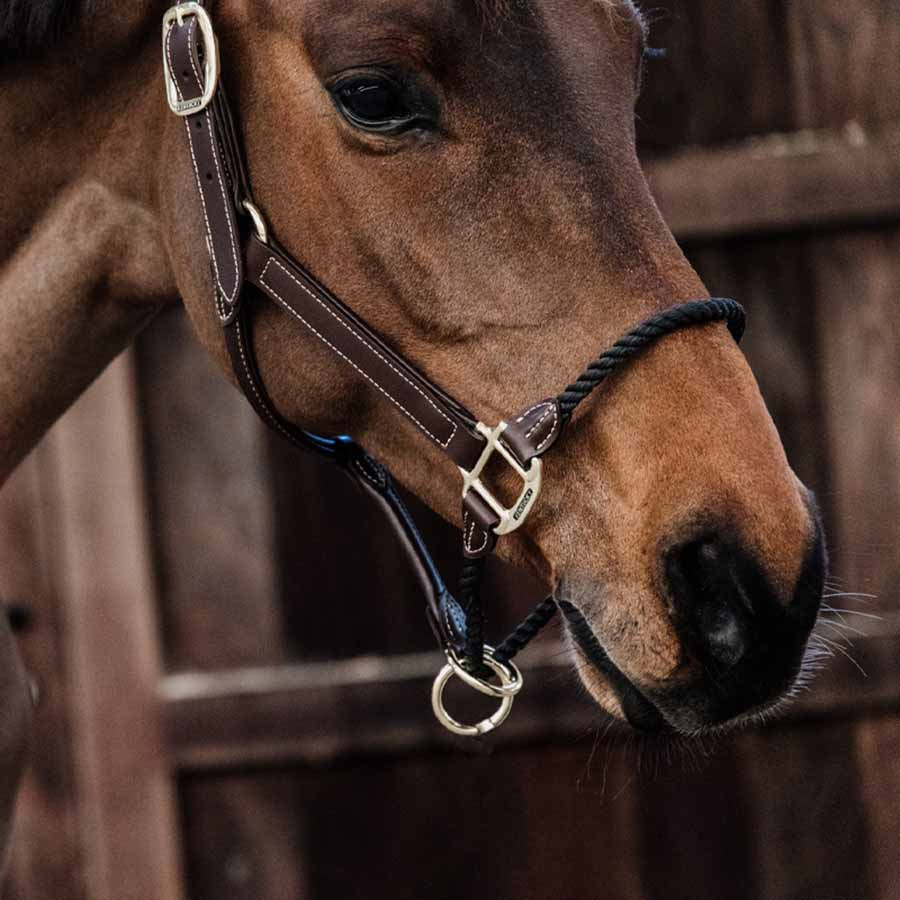 Leather Halter Rope Artificial Brown
